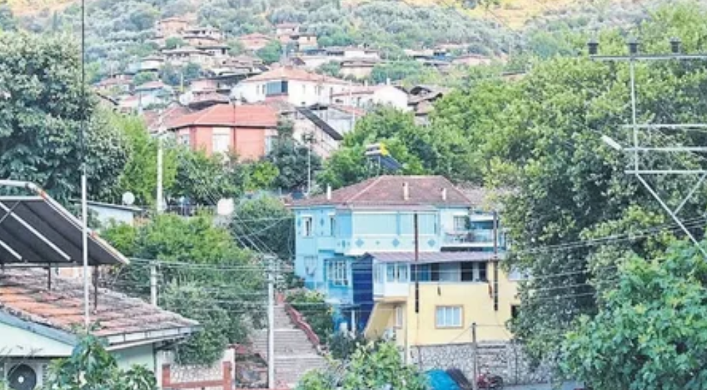AYDIN EFELER BADEMLİ KÖYÜNDE 500 M² ARSA SATILIKTIR. - AYDIN EFELER fotoğraf 11